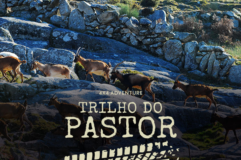 Trilho do Pastor