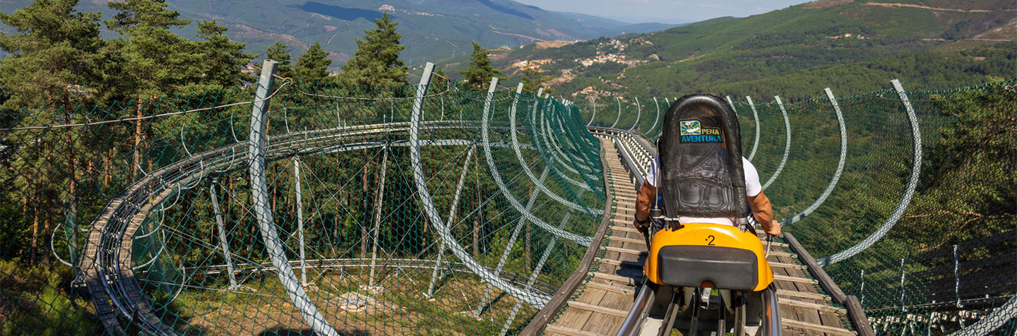 Alpine Coaster